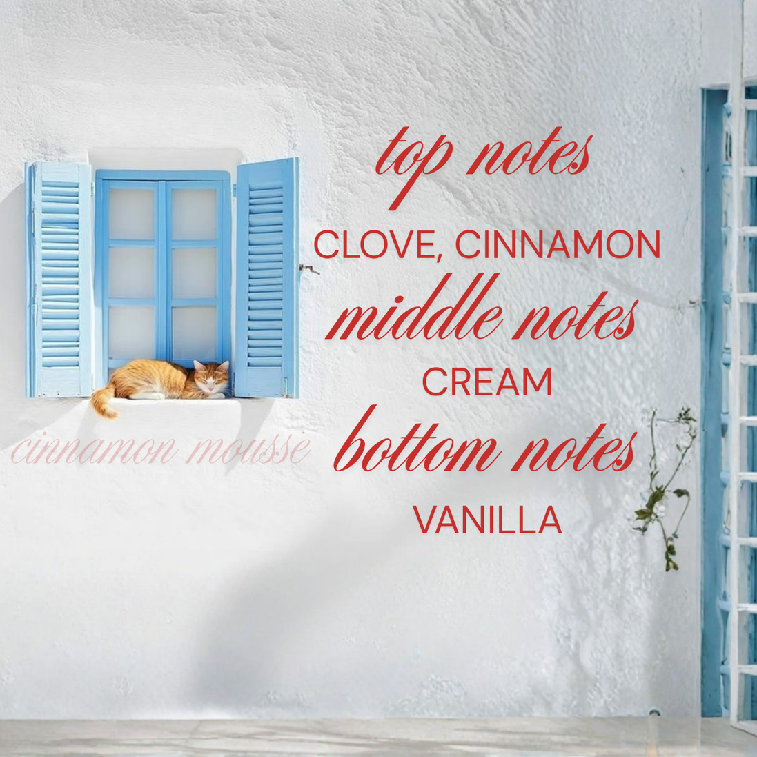 Cinnamon Mousse - Signature Candle - 9 oz & 15 oz
