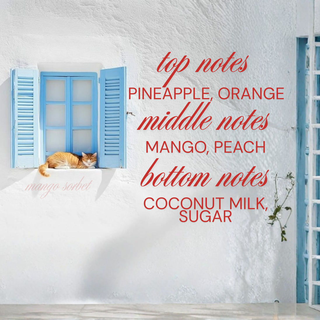 Mango Sorbet - Signature Candle - 9 oz & 15 oz
